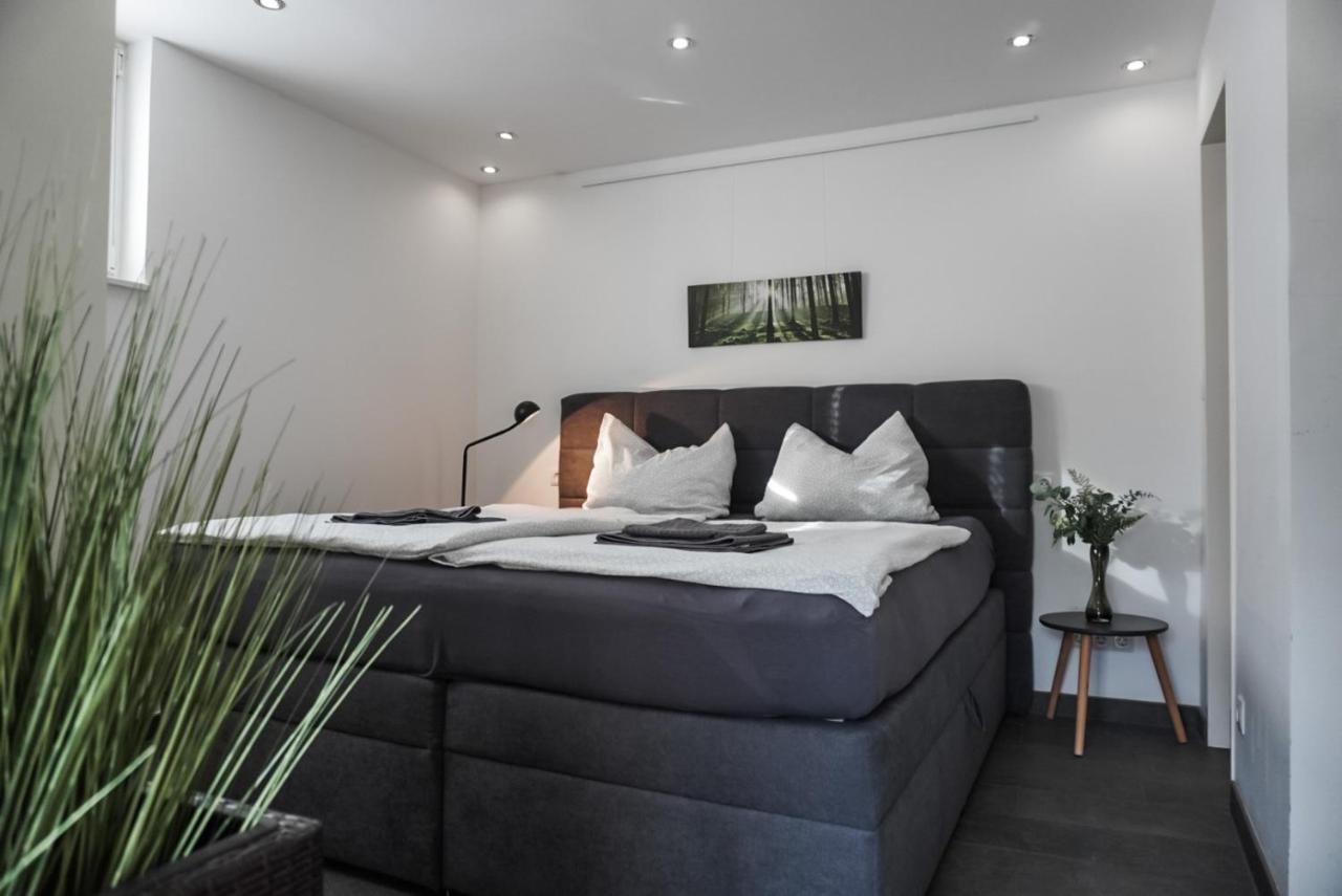 Neu Gebautes Apartment Mit Sonnenterasse In Der Naehe Vom Siebengebirge & Bonn Königswinter Esterno foto